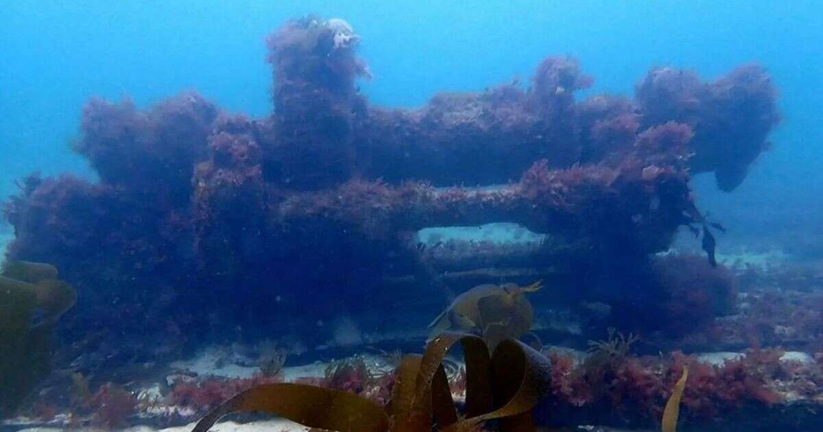 Inside never-before-seen shipwreck on Cornwall coast left underwater for 129 yearsBoats