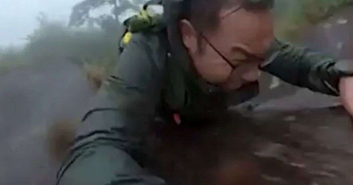 Shocking moment hiker slips and plunges helplessly down mountainside