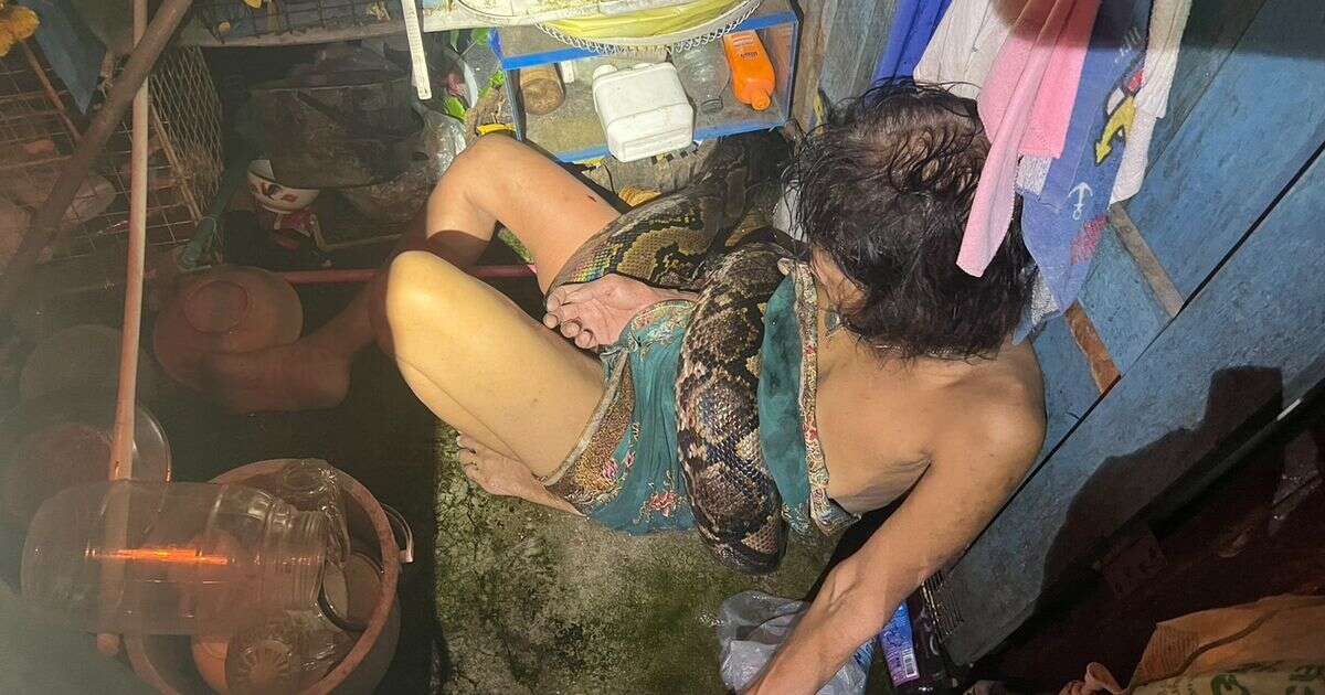 Woman is squeezed by 13ft python for two hours after it attacks while she's doing the dishes