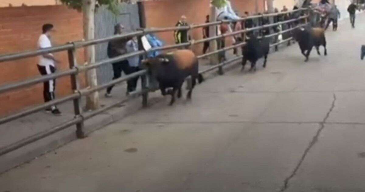 Horrifying moment rampaging bull gores man to death and injures girl, 3, and grandparents