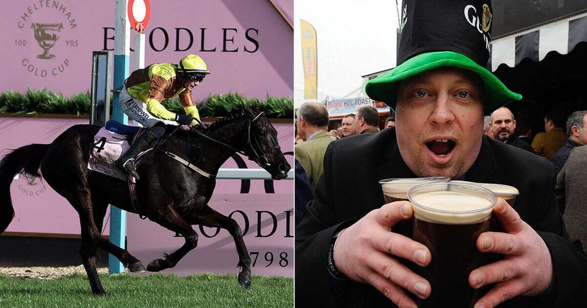 Cheltenham Festival: Raft of changes for punters as ticket prices frozen - but Guinness goes up