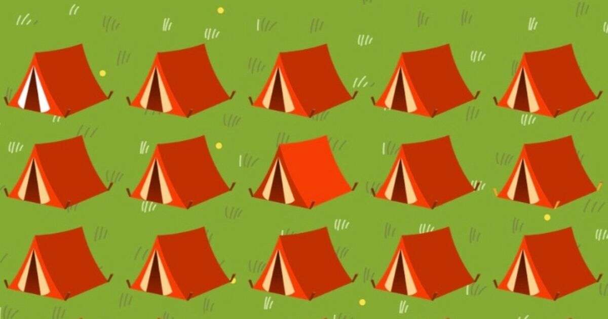 Only people with a high IQ can spot 6 different tents in less than 21 secondsBrainteasers