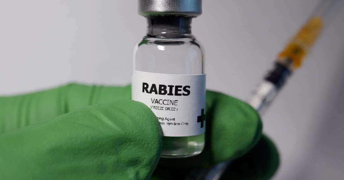 Deadly rabies outbreak as scientists confirm infection in totally new speciesRabies