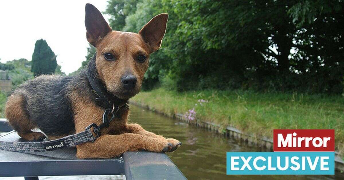 opinionSlowing life down on a canal boat through one of the UK's least mainstream holiday destinationsRoad trips