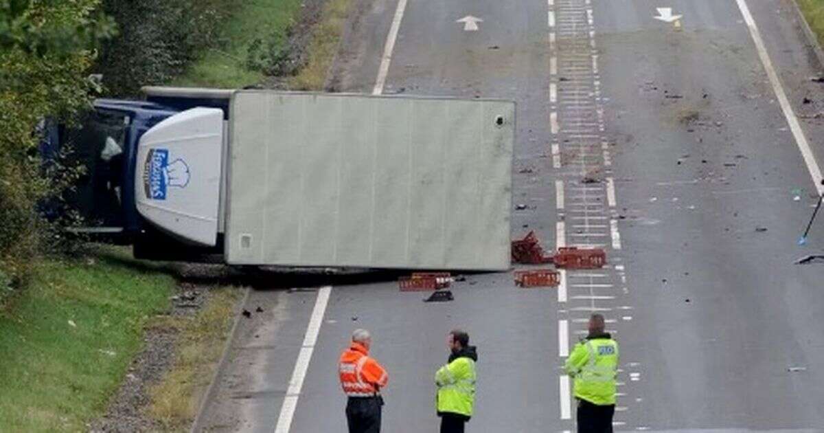 A737 crash: Woman and four horses killed in horror smash between Mercedes and van