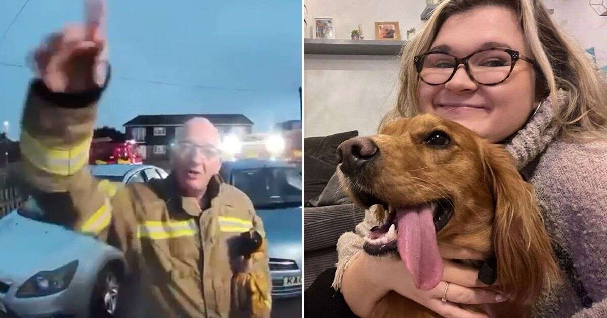 Woman leaves TV on for dog to go to shops - minutes later firefighters are at her doorVIDEOFire Service