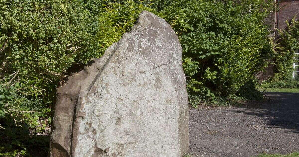 Neolithic site discovered under Thomas Hardy's house protected as scheduled monumentThomas Hardy