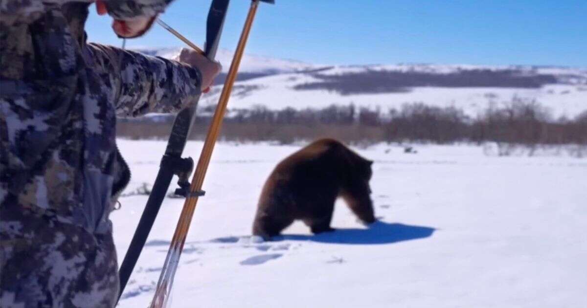 Western tourists slaughter animals on hunting trips to Russia despite Ukraine warVIDEOHunting