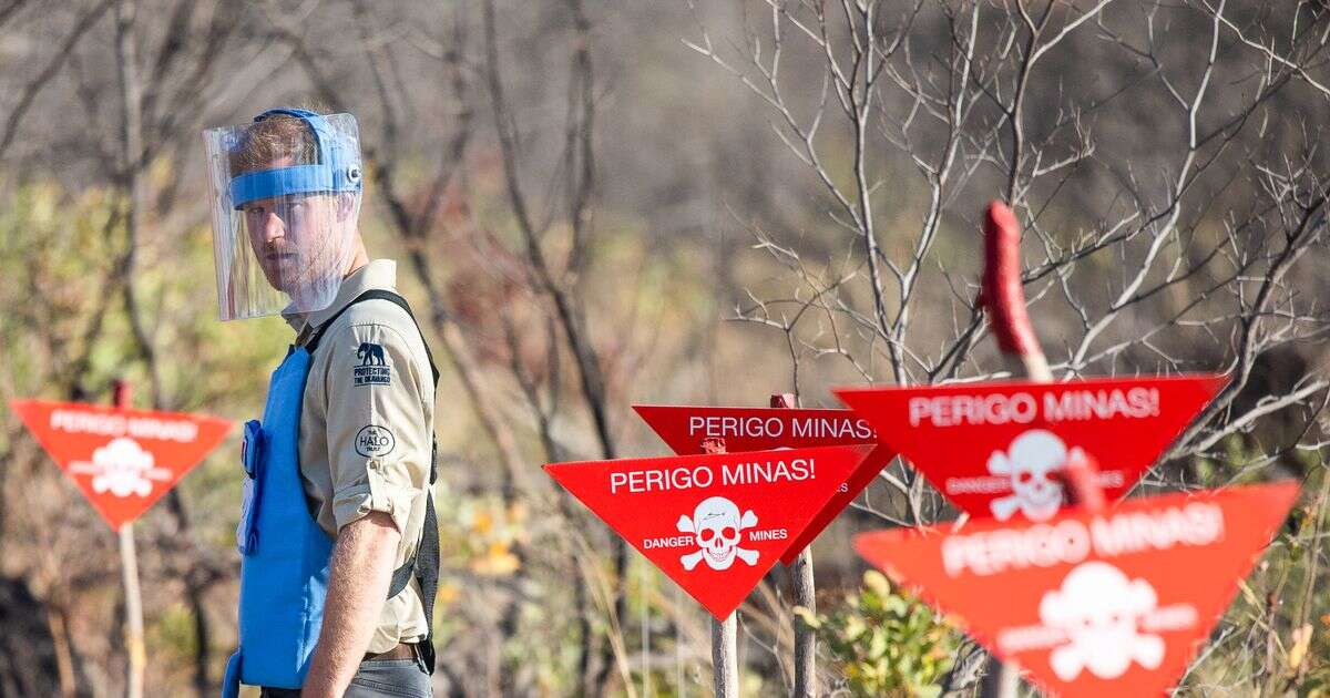 Prince Harry's battle against landmines in new move reminiscent of his mother