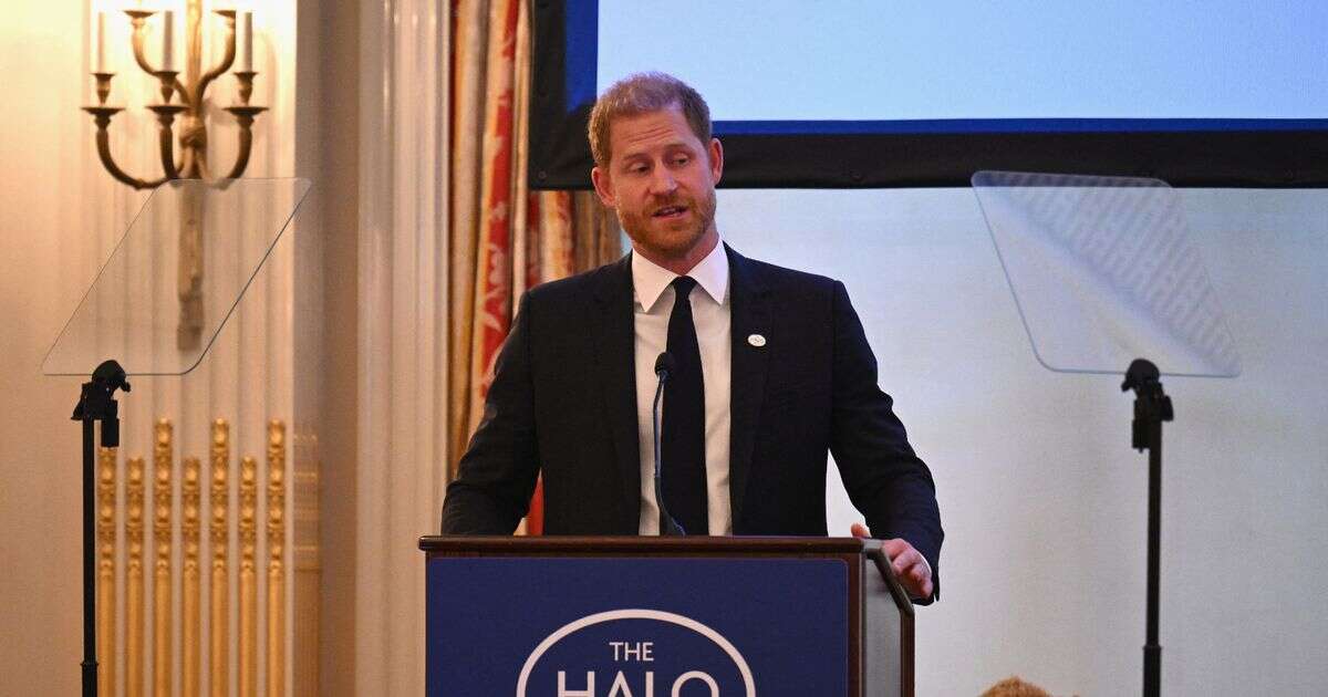 Prince Harry says Princess Diana would be 'horrified' - before making sweet legacy comparisonPrince Harry