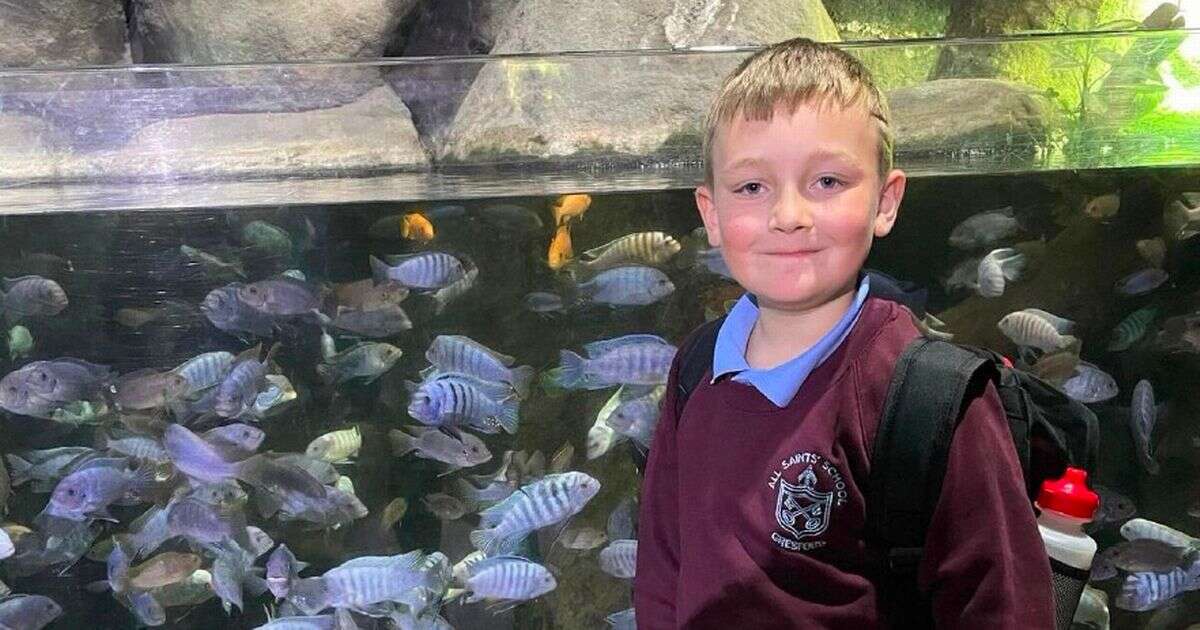 Schoolboy, 9, with 'cheeky smile everyone loved' dies on return from holiday