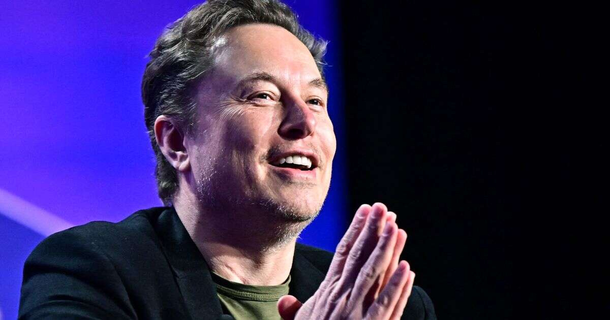 Elon Musk sued by adult game Cards Against Humanity in Mexican Wall row