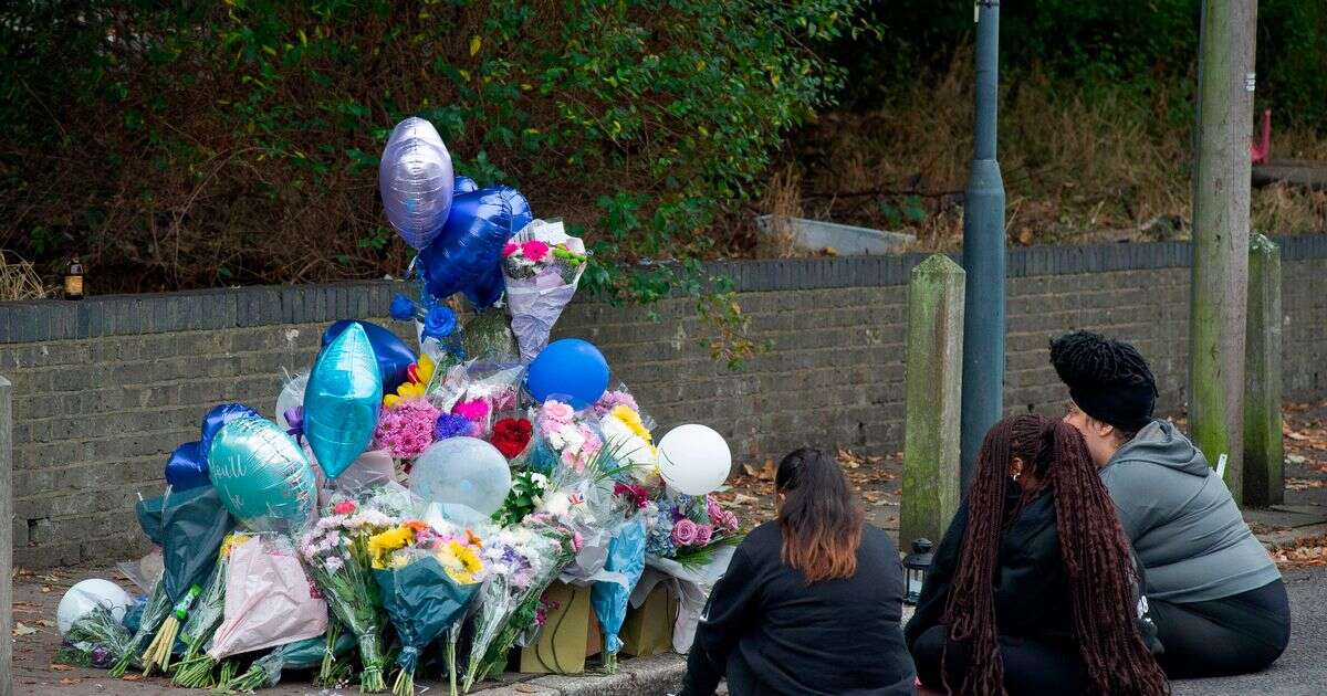 BREAKING: Schoolboy stabbed to death with 'zombie knife' named with attacker on the run