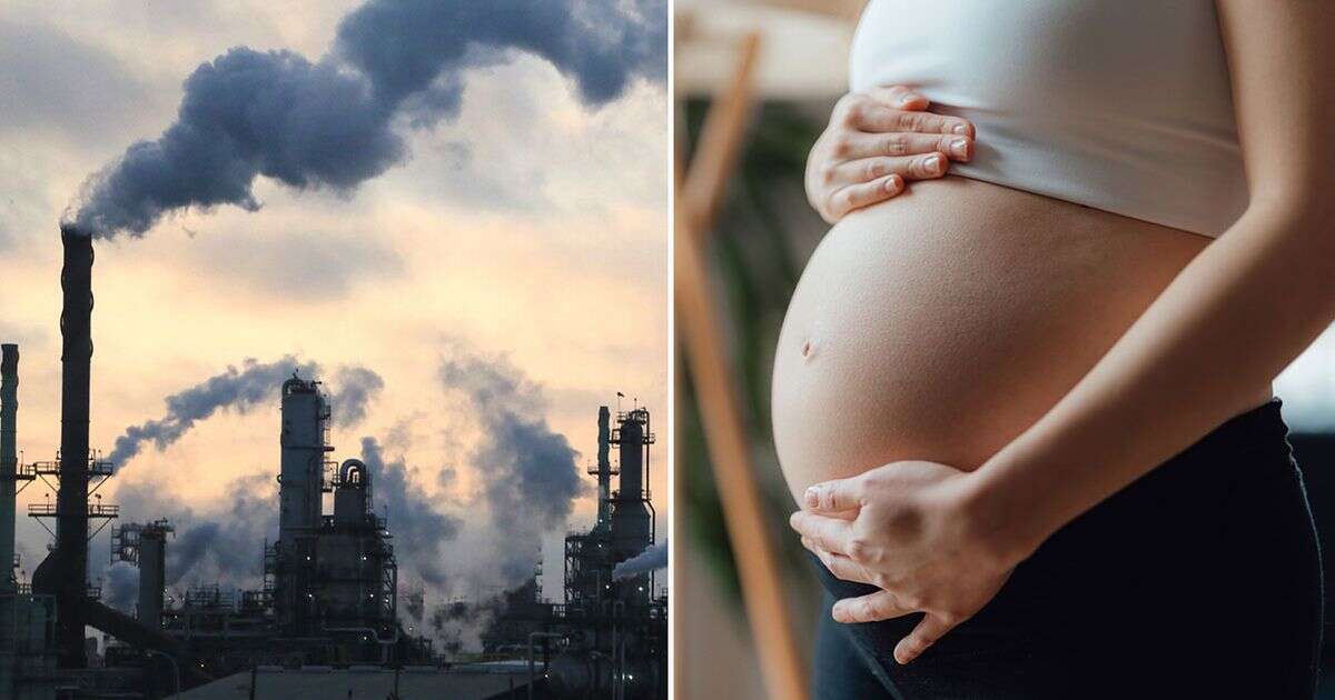 Air pollution has shocking affect on brains of newborn babies, new study findsPregnancy