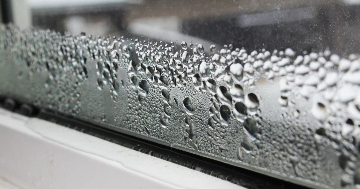 No-fuss 55p kitchen staple removes condensation and mould without need for dehumidifier
