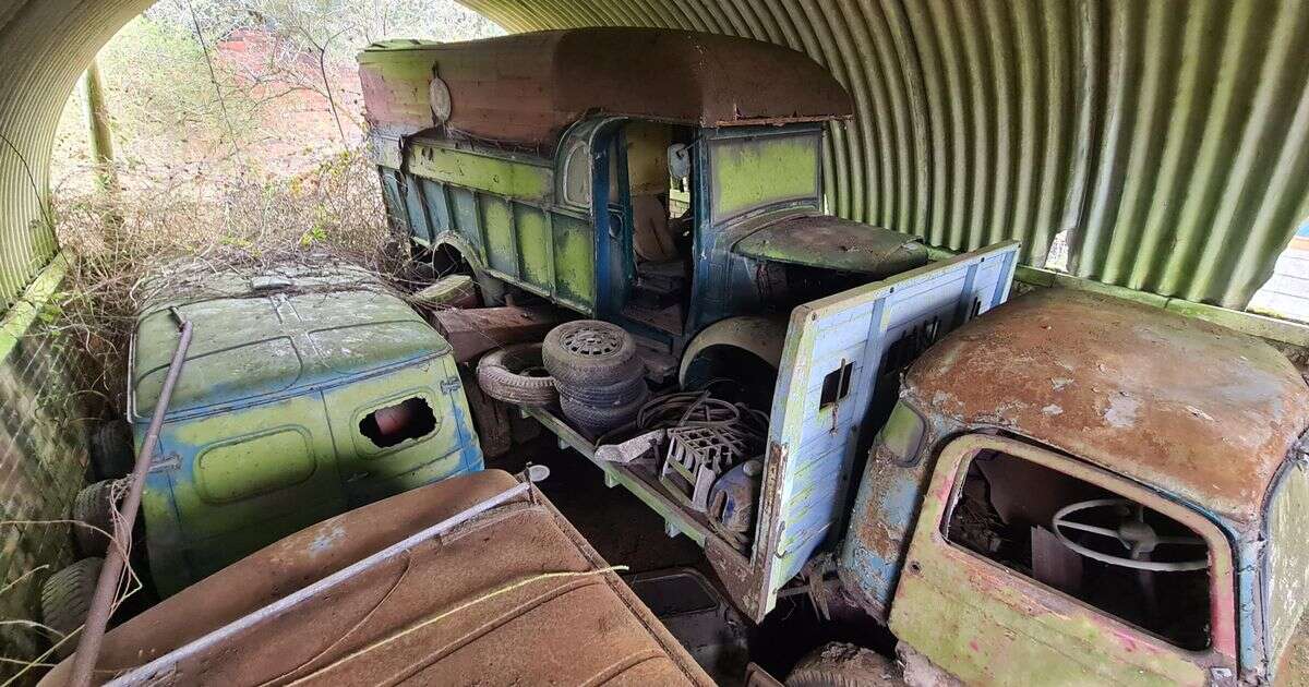 Haunting images reveal the secrets of a lost hoarder's Yorkshire car graveyard