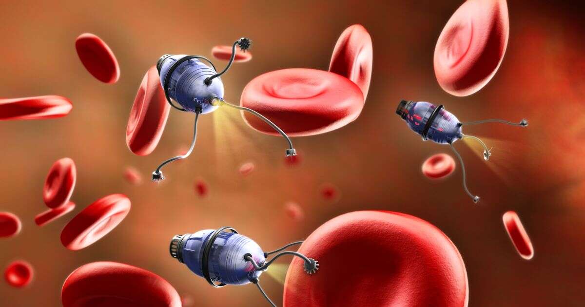 Microscopic robots made out of human cells could revolutionise healthcare, say expertsMedicine