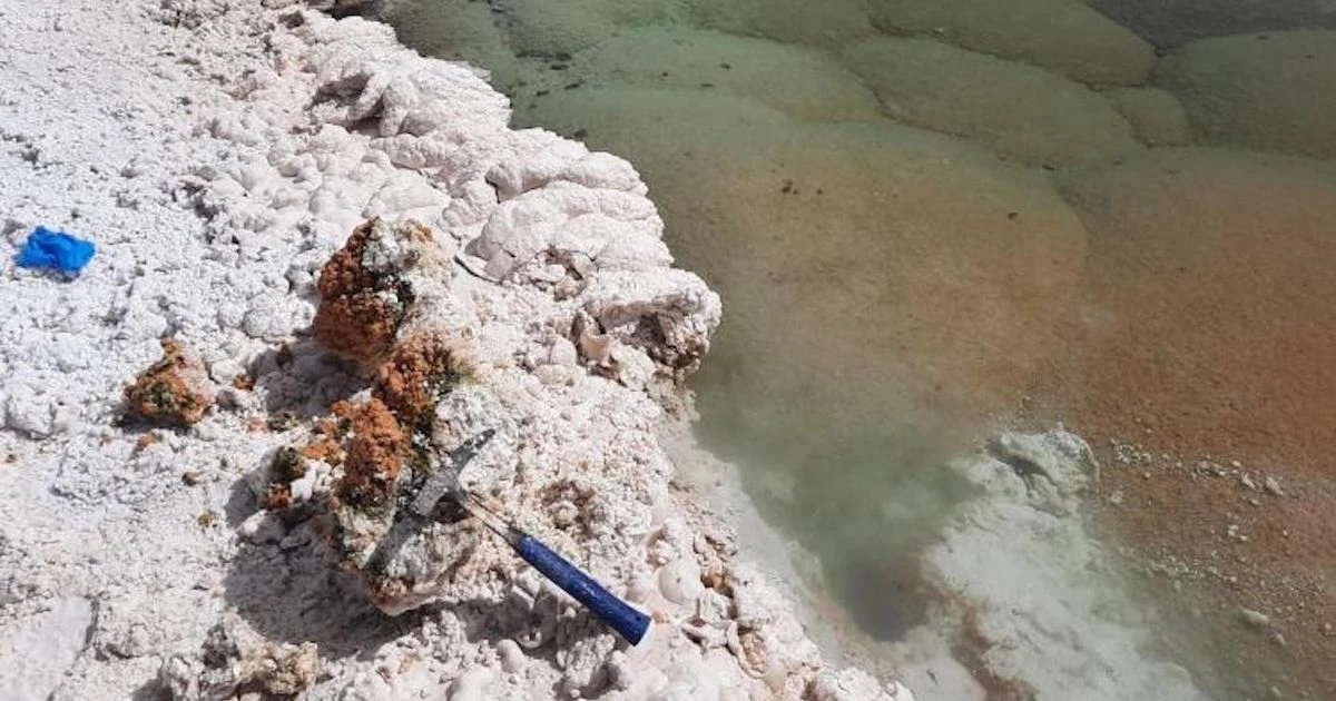 Scientists find signs of earliest life on Earth after 3.5 billion-year-old discovery