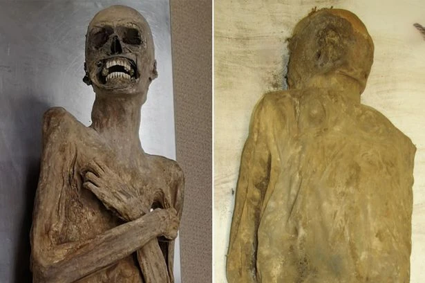Scientists stunned by mummy dubbed 'Air-Dried Priest' due to jaw-dropping embalming method
