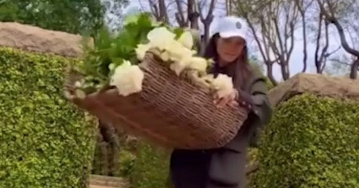 Meghan Markle shares glimpse of family garden as Prince Harry giggles behind camera