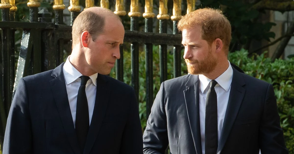 Prince Harry and brother William 'never the friends we were led to believe'