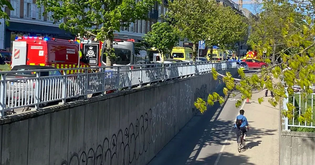 Queen Louise's Bridge: Car ploughs into Copenhagen pedestrians with five injured