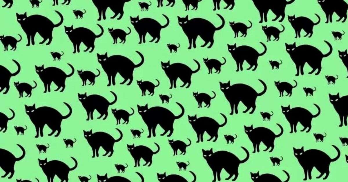 You have razor-sharp vision if you can spot rat hiding in mind-boggling optical illusionBrainteasers