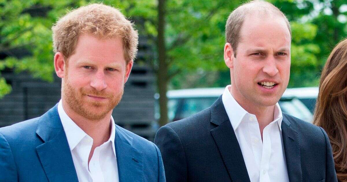 Prince William 'sent last-minute text to Harry that sparked royal ceasefire'Prince William