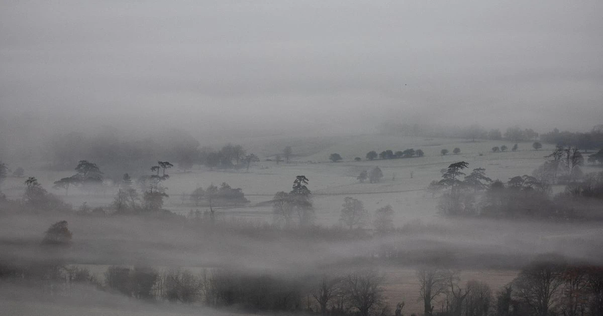 Met Office yellow weather warning as fog could cause 'disruption' across England