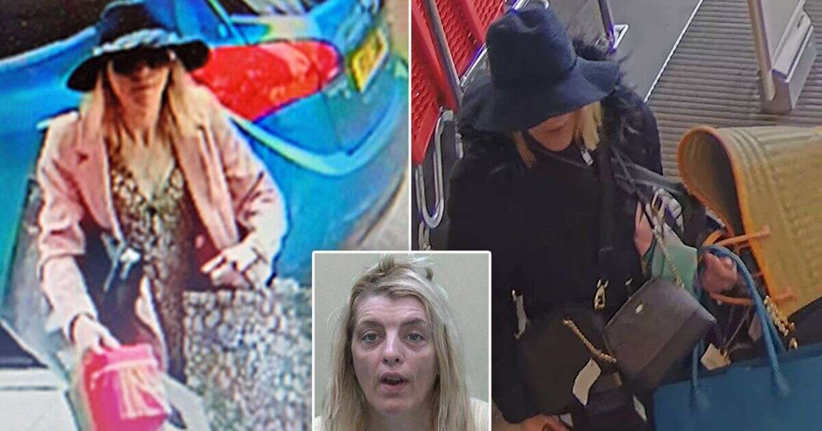 Britain's most prolific female shoplifter has been arrested 400 times and wears ludicrous disguisesShoplifting