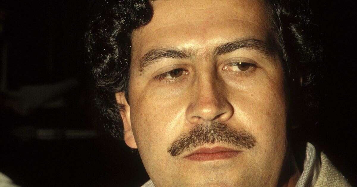 Notorious drug lord Pablo Escobar's hippos finally sentenced to death