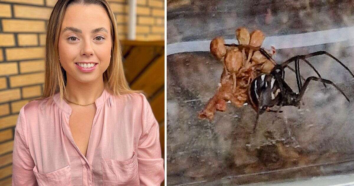 Mum finds deadly black widow spider's nest at home inside bunch of grapesSpiders