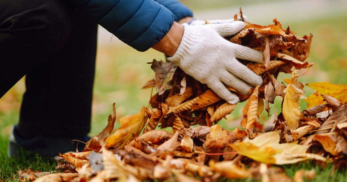 Monty Don’s ‘incredibly clever’ hack to get rid of fallen leaves - and it’s free