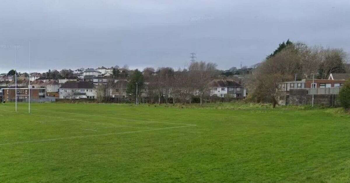 Child, 10, 'sexually assaulted by another child' on playing fields as police investigate