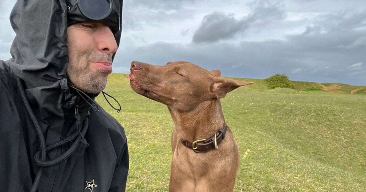 These are the exact waterproof gloves Liam Gallagher wears to walk his dog in autumn