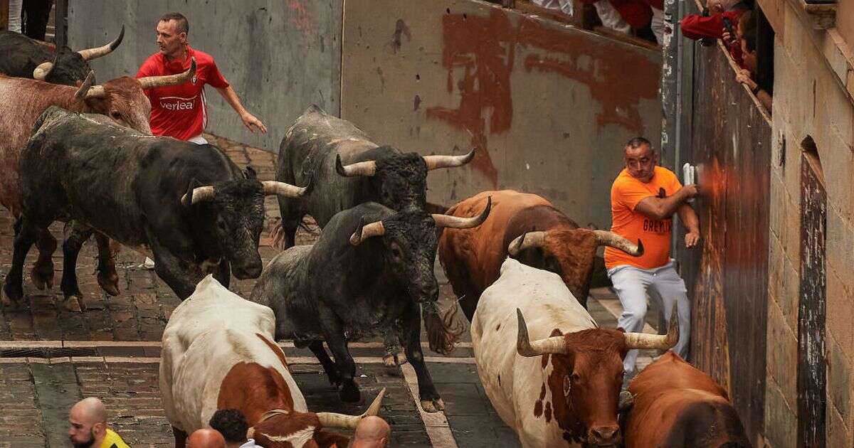 Young man, 20, gored to death at Spanish bull-running festival as animal punctures lungSpain