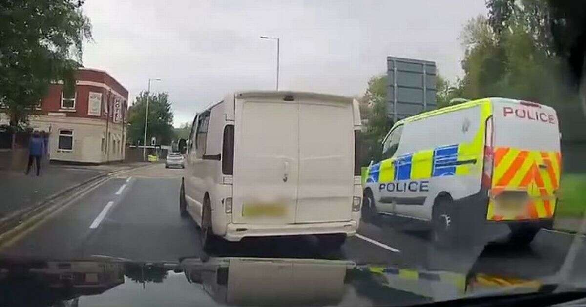 Harrowing moment police van slams into elderly woman in her 80s crossing the road