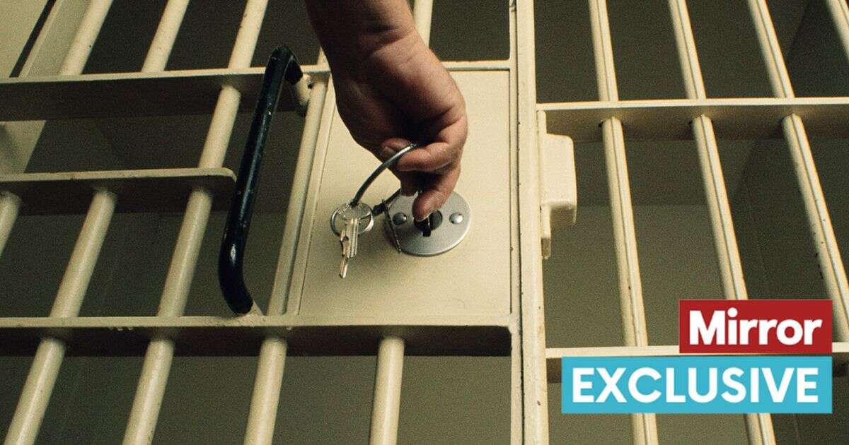 Prisons must stop 'churning out crooks who wind up back in jail' to fix overcrowding, minister warns