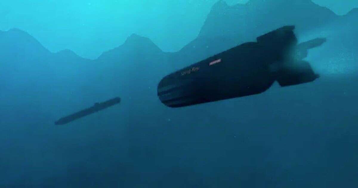 Royal Navy lauds its terrifying £60bn upgrades to Sting Ray submarine torpedoes