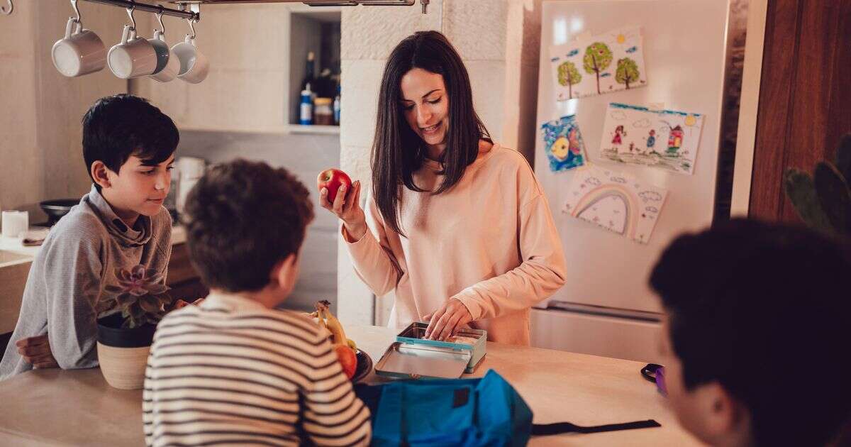 'I'm a dentist - surprising treat you should always put in kids' lunchboxes'