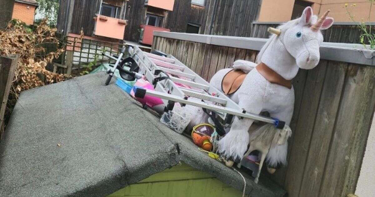 Neighbours at war over 'eyesore' unicorn stored on top of garden shed