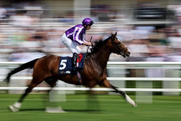 'I fancy 50-1, 20-1 and 16-1 shots on day one' – Jason Heavey's Glorious Goodwood tips