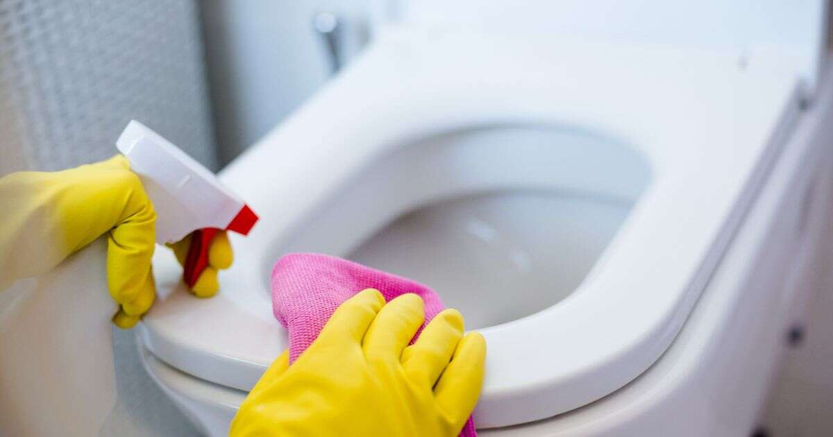 Everyone forgets this vital toilet cleaning step - but you always need to do itCleaning