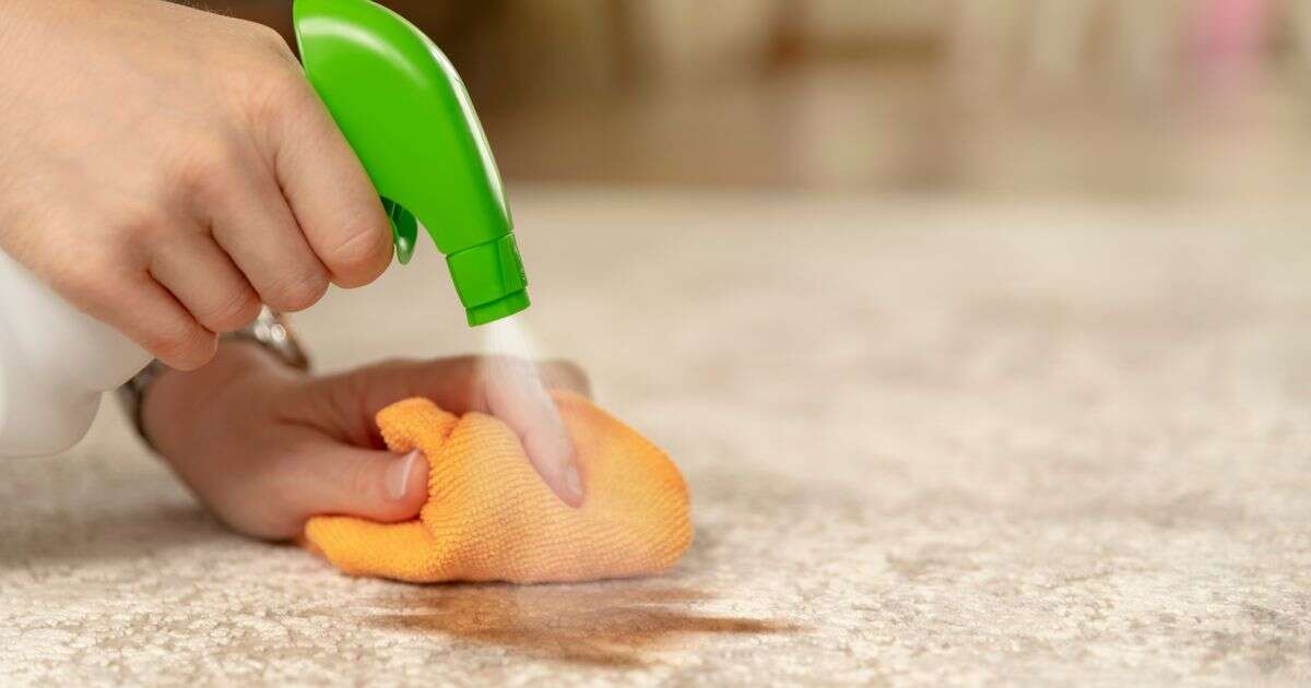 Homemade cleaning solution will eliminate carpet stains in just five minutes