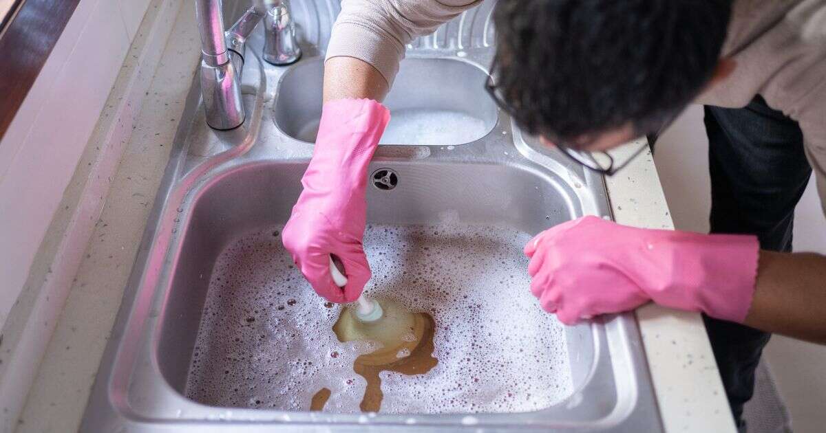 Unclog blocked sinks with '10/10' holy grail - clears debris in half an hour