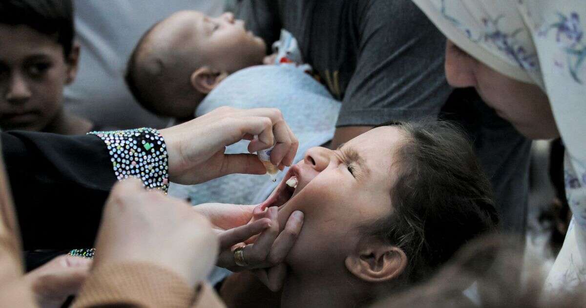 opinionGaza mums desperate for baby polio jabs put UK parents to shame as our vaccine take-up stalls