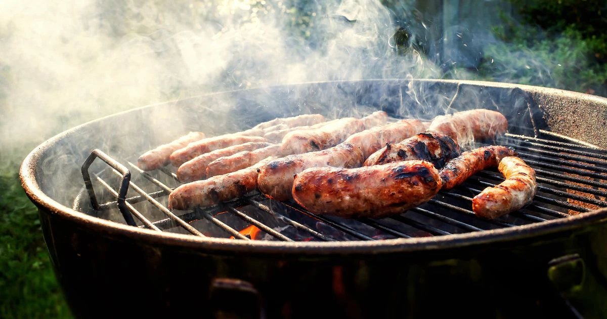 Surprising object will keep flies away from your summer BBQ - with no need for bug spray