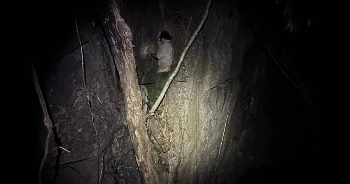 Never-before-seen creepy creature with 'blade-shaped fangs' discovered for first time