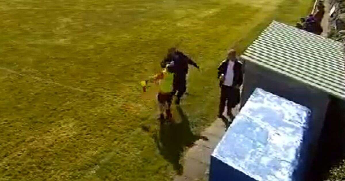 Football manager who punched linesman in fit of rage sentenced for assault