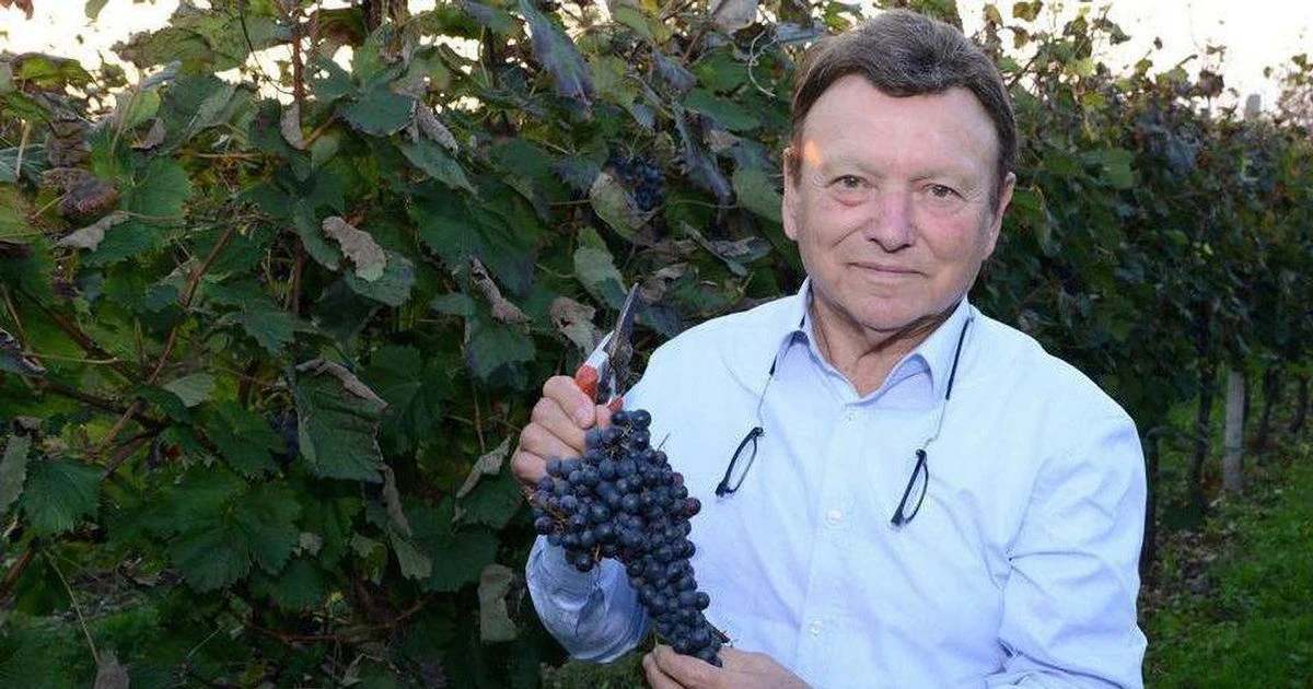 Vineyard workers stunned after boss dies and leaves them entire winery in his willWine
